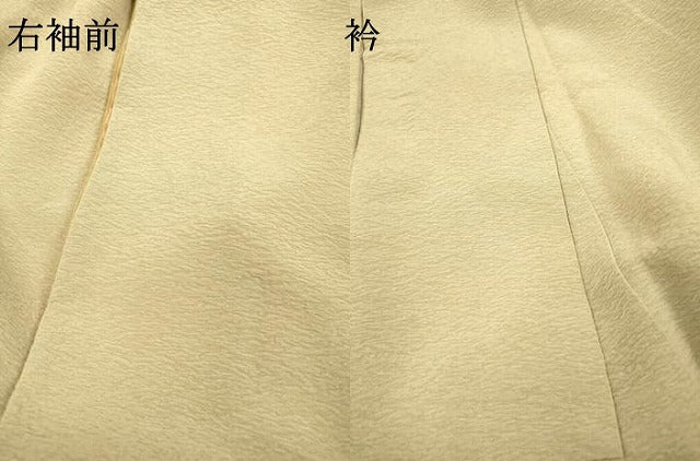 平和屋着物▼色留訪問着　総刺繍　吹き寄せ花文　金糸　正絹　逸品　DABG5646fe