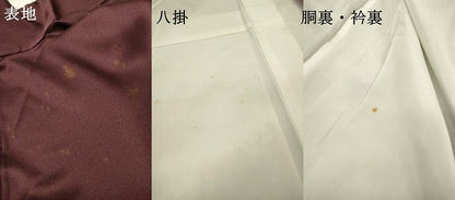 平和屋着物▼訪問着　螺鈿　花唐草文　暈し染　金銀彩　正絹　逸品　DABG5667fe