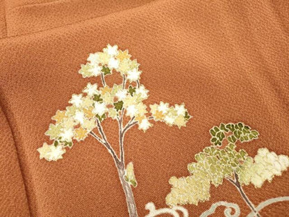 平和屋着物▽訪問着　単衣　草花　金彩　鬼しぼ縮緬　正絹　逸品　DABG5715fe