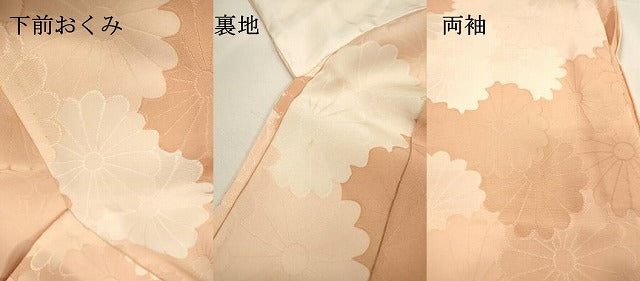 平和屋着物▽上質な小紋　単衣　地紋起こし　菊尽くし　正絹　逸品　未使用　DABG5910fe