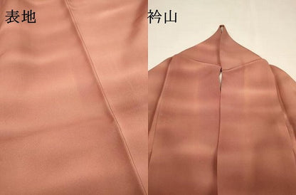 平和屋着物▼虹色創家　本郷大田子　小紋　霞文　暈し染　高島屋扱い　正絹　逸品　DABG5925fe
