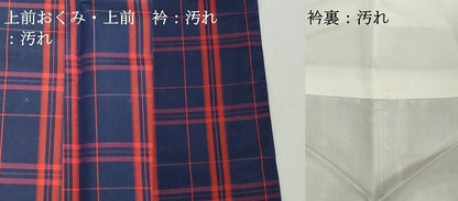 平和屋着物■本場縞大島紬　格子　正絹　逸品　DABG6132xg