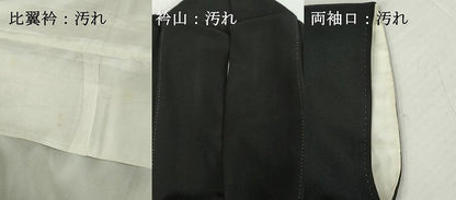 平和屋着物■豪華黒留袖　友禅　作家物　洛北修学院離宮　正絹　逸品　DABG6145xg