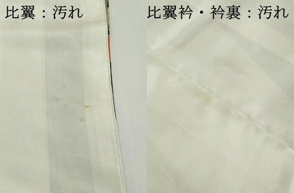 平和屋着物■豪華黒留袖　吉祥扇面花鳥文　金彩　正絹　逸品　DABG6146xg