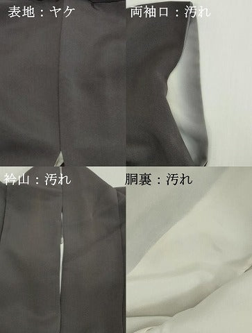 平和屋着物■訪問着　敷松葉文　金彩　正絹　逸品　DABG6167xg