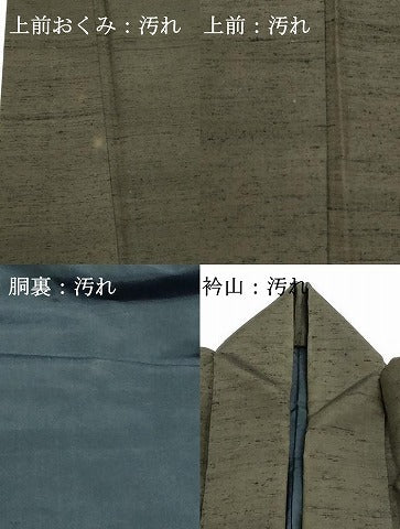 平和屋着物■男性　紬　霞文　正絹　逸品　DABG6659cd