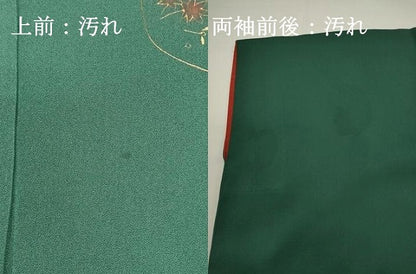 平和屋着物■訪問着　草花文　金彩　正絹　逸品　DABG6685cd