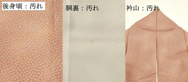 平和屋着物■江戸小紋　小花文　正絹　逸品　DABG6710cd