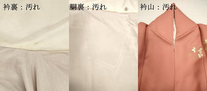 平和屋着物■訪問着　花鳥文　暈し染め　金銀彩　鈴乃屋扱い　正絹　逸品　DABG6722cd