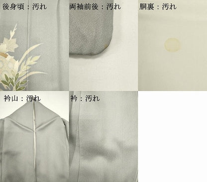 平和屋着物■訪問着　草花文　ロング丈　正絹　逸品　DABG6727cd