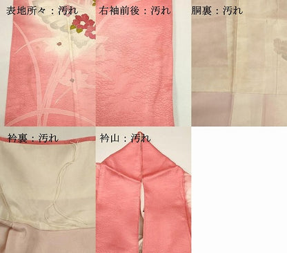 平和屋着物■訪問着　花蝶文　暈し染め　金糸　正絹　逸品DABG6750cd