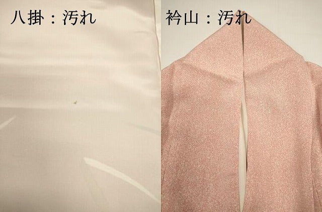 平和屋着物■訪問着　駒刺繍　草葉文　金彩　正絹　逸品　DABG6758cd