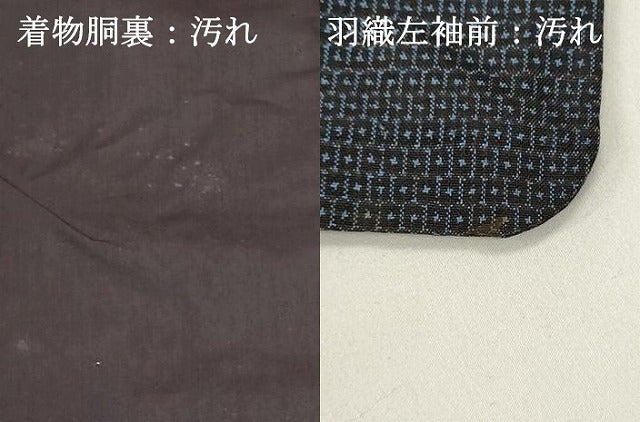 平和屋着物■男性　本場大島紬　アンサンブル　100亀甲　総詰め　正絹　逸品　DABG6761cd
