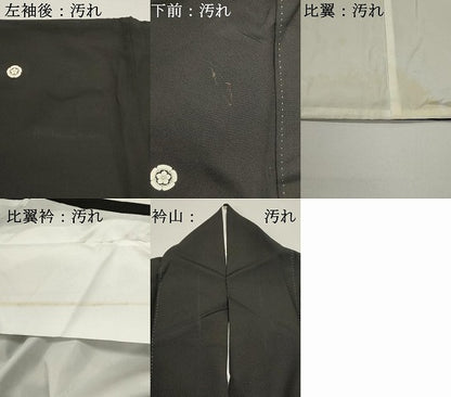 平和屋着物■豪華黒留袖　吉祥飛鶴文　金彩　正絹　逸品　DABG6800cd