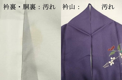 平和屋着物■訪問着　流水枝花文　鶴　暈し染め　金彩　正絹　逸品　DABG6886cd