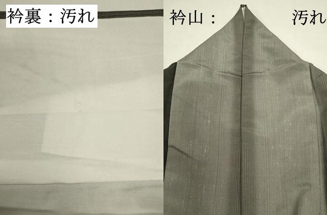 平和屋着物■上質な紬　間道　正絹　逸品　DABG6894cd