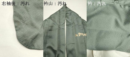 平和屋着物■訪問着　駒刺繍　流水花文　金彩　正絹　逸品　DABG6918cd