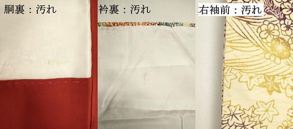 平和屋着物■上質な小紋　型染め　舞花文　正絹　逸品　DABG6937cd