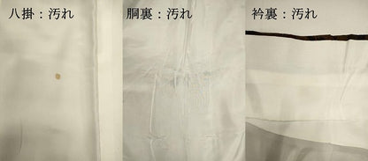 平和屋着物■宮内庁御用達　赤城右堂　小紋　風景文　暈し染め　鬼しぼ縮緬　正絹　逸品　DABG6938cd