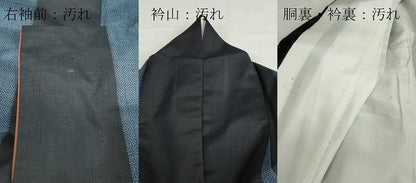 平和屋着物■訪問着　紬　独楽　コマ　金彩　正絹　逸品　DABG7005zy