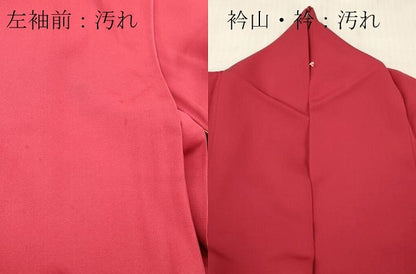 平和屋着物■豪華色留袖　箔散らし文　暈し染め　金彩　正絹　逸品　DABG7056zy