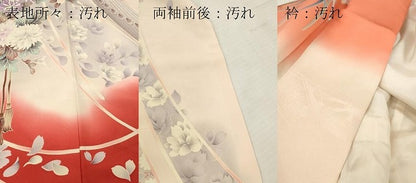 平和屋着物■豪華振袖　駒刺繍　飾花文　牡丹　暈し染め　正絹　逸品　DABG7075zy