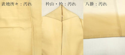 平和屋着物■訪問着　短冊籬草花文　暈し染め　正絹　逸品　DABG7119zy