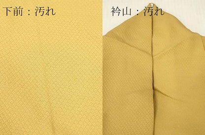 平和屋着物■上質な色無地　鹿の子地紋　花葉色　正絹　逸品　DABG7135zy