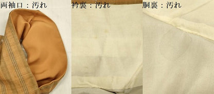 平和屋着物■上質な紬　間道　正絹　逸品　DABG7534ya