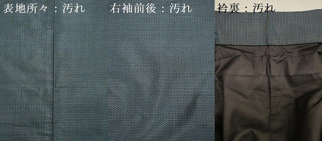 平和屋着物■男性　本場大島紬　総詰め　正絹　逸品　DABG7546ya