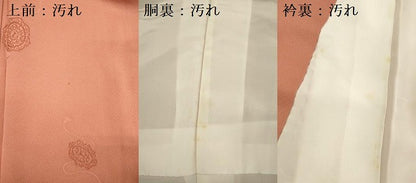 平和屋着物■上質な小紋　鏡裏文　正絹　逸品　DABG7590ya