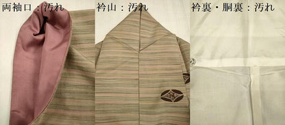 平和屋着物■上質な紬　七宝花文　正絹　逸品　DABG7591ya