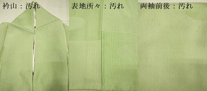平和屋着物■江戸小紋　流水文　万筋　生成り色×鶸萌黄色　正絹　逸品　DABG7598ya