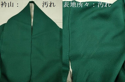 平和屋着物■訪問着　人物文　源氏物語　暈し染め　金彩　正絹　逸品　DABG7614ya