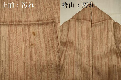 平和屋着物■上質な小紋　間道　正絹　逸品　DABG7676ya