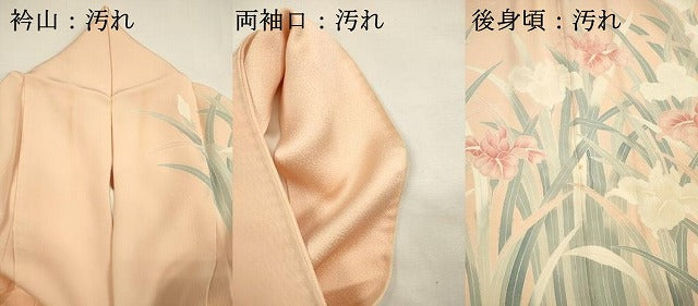 平和屋着物■訪問着　友禅　刺繍　杜若文　正絹　逸品　DABG7817ya