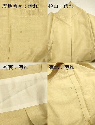 平和屋着物■上質な紬　舞花文　胴抜き仕立て　正絹　逸品　DABG7848ya