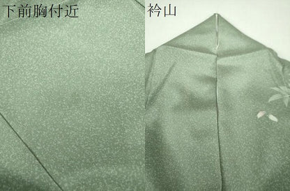 平和屋着物●訪問着　友禅　藤花房　草花文　暈し染め　松坂屋扱い　正絹　逸品　DABG8238ps