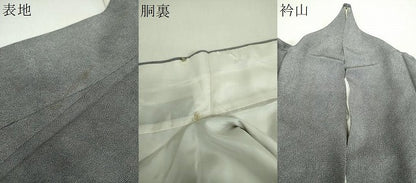 平和屋着物●江戸小紋　色留訪問着　舞桜　敷松葉　鮫小紋柄　三越扱い　正絹　逸品　DABG8449ps