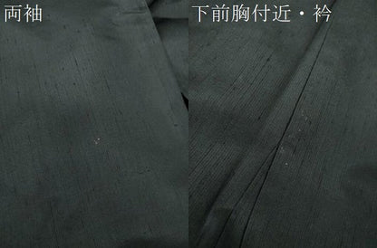 平和屋着物●訪問着　紬地　横段文　黒地　正絹　逸品　DABG8468ps
