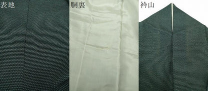 平和屋着物●本塩沢　蚊絣　正絹　逸品　DABG8492ps
