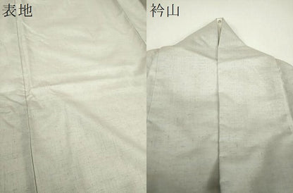 平和屋着物●訪問着　紬地　手描き　飛鳥草木文　金彩　正絹　逸品　DABG8517ps