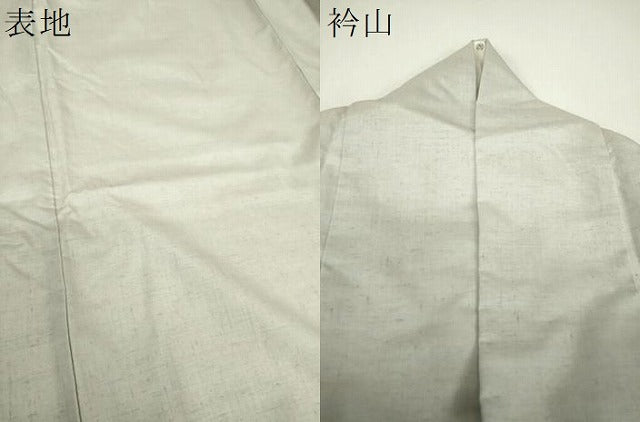 平和屋着物●訪問着　紬地　手描き　飛鳥草木文　金彩　正絹　逸品　DABG8517ps