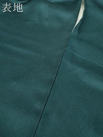 平和屋着物●訪問着　流水草花文　枝梅　暈し染め　金彩　正絹　逸品　DABG8519ps