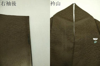 平和屋着物●訪問着　短冊花文　暈し染め　金銀彩　正絹　逸品　DABG8618ps