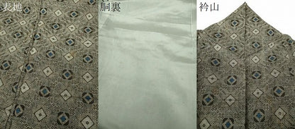 平和屋着物●龍郷絣　本場大島紬　花菱文　正絹　逸品　DABG8630ps