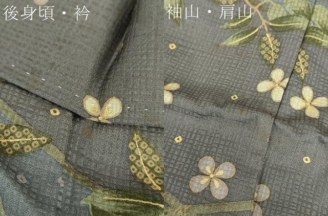 平和屋着物●訪問着　松竹梅　舞桜　舞蝶藤花房　暈し染め　金彩　正絹　逸品　DABG8647ps