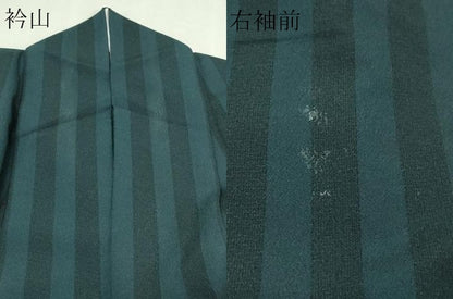 平和屋着物▽洗える最高級着物　＜英＞はなぶさ謹製　小紋　単衣　間道　洗える着物　DABG9560sf