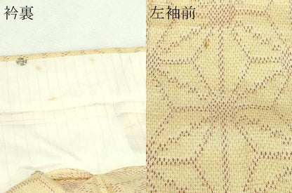 平和屋着物▽上質な紬　単衣　麻の葉文　正絹　逸品　DABG9610sf