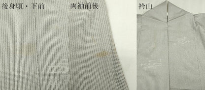 平和屋着物▽お召　単衣　本しぼ絣　絣文様　証紙付き　正絹　逸品　DABG9615sf